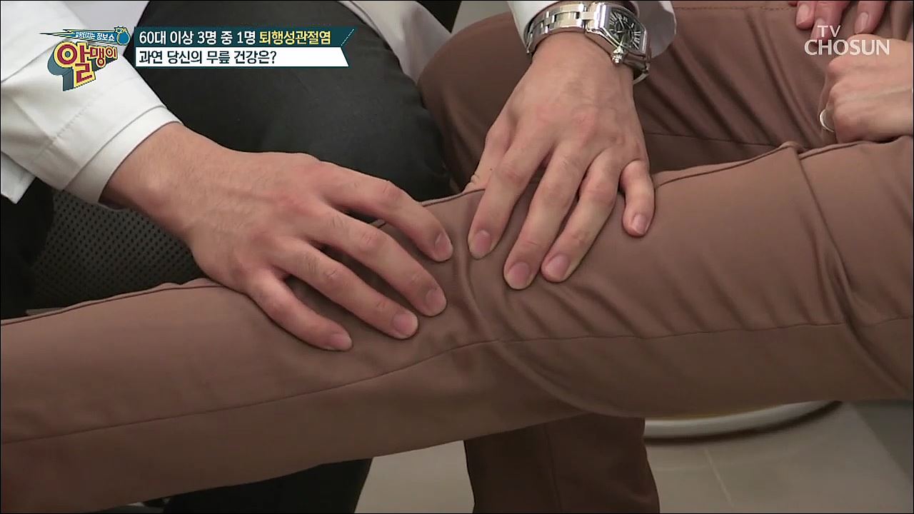 팡팡터지는 정보쇼 알맹이 97회 