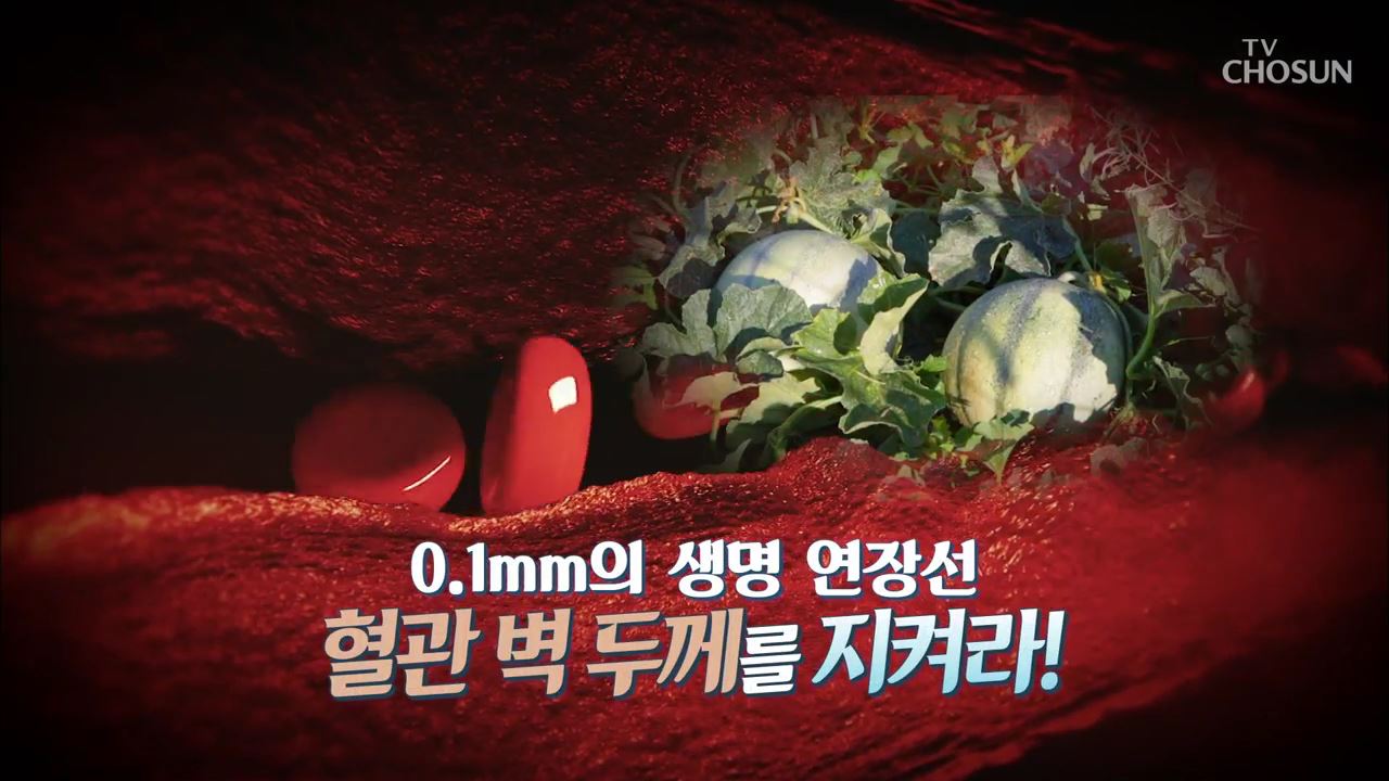 건강다큐 115회 - 혈관 벽 두께를 지켜라!