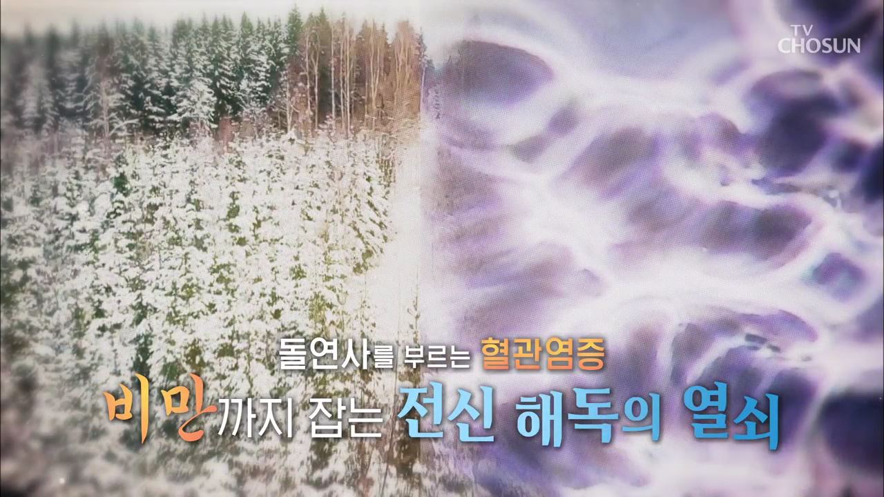 백세시대 프로젝트 위대한 유산 112회