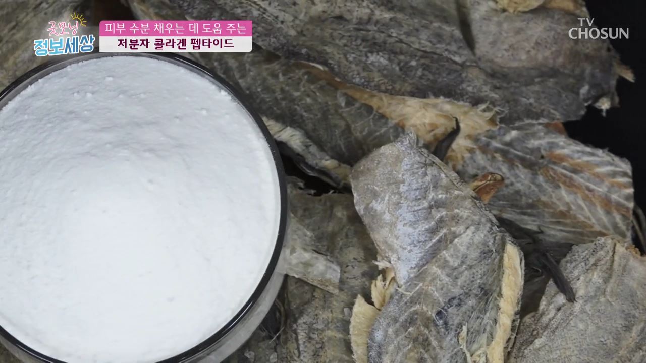 굿모닝 정보세상 336회