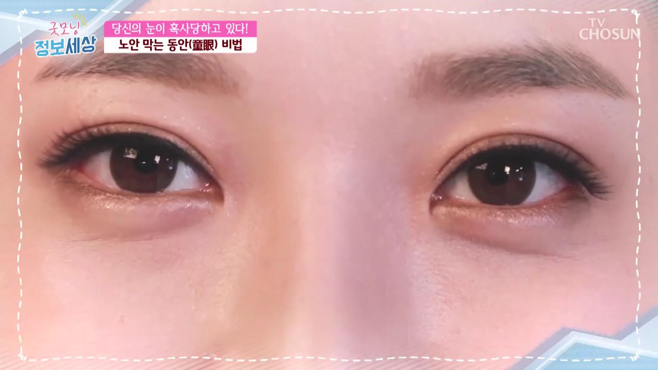 굿모닝 정보세상 337회