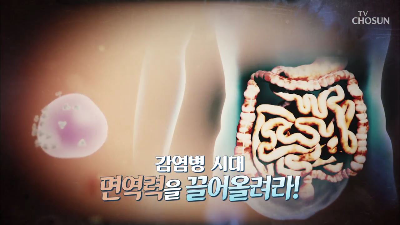 건강다큐 119회 - 감염병 시대 면역력을 끌어올려라!