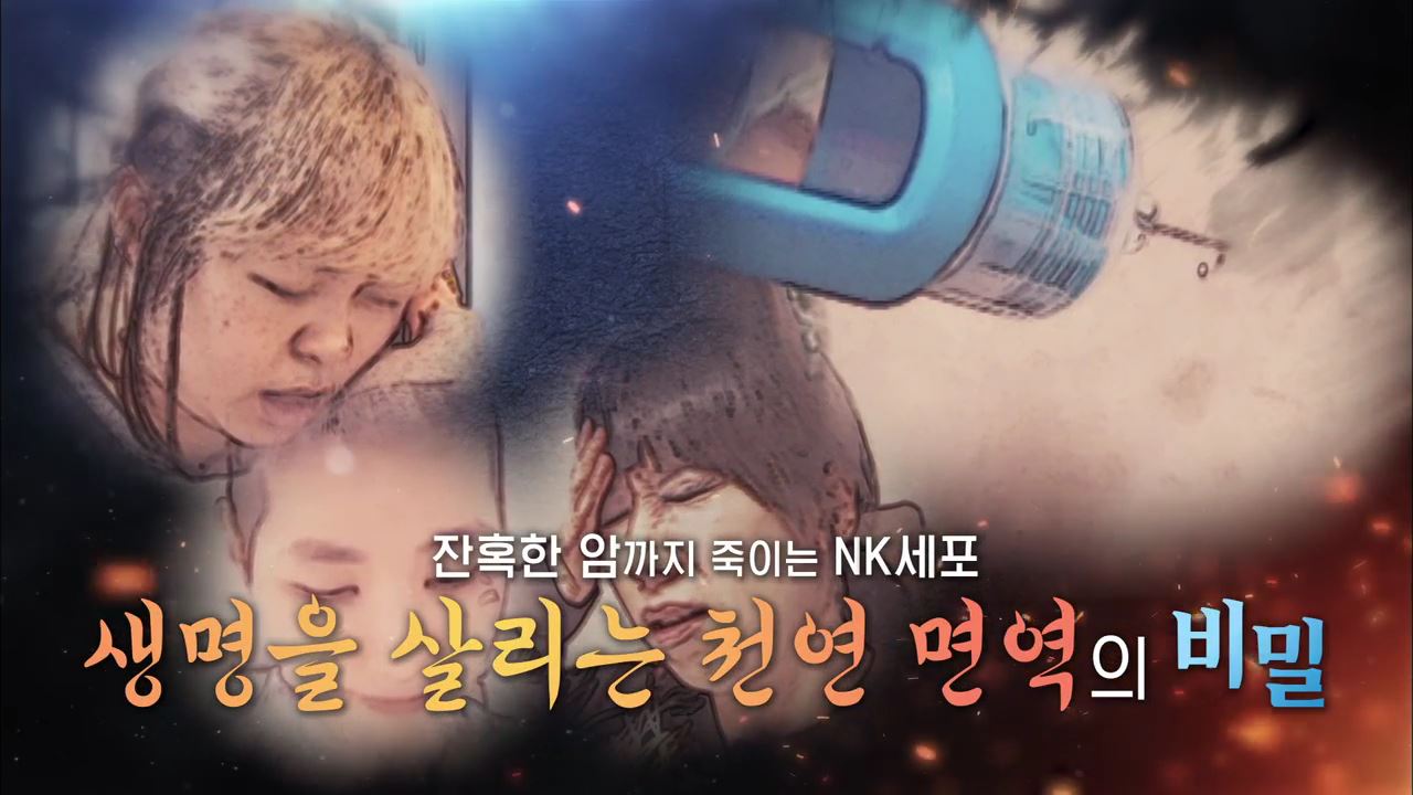 백세시대 프로젝트 위대한 유산 113회