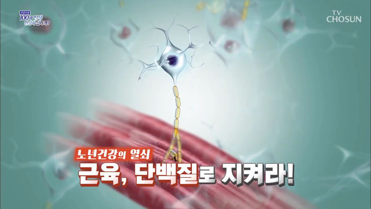 건강다큐 120회 - 노년건강의 열쇠 근육, 단백질로 지켜라!