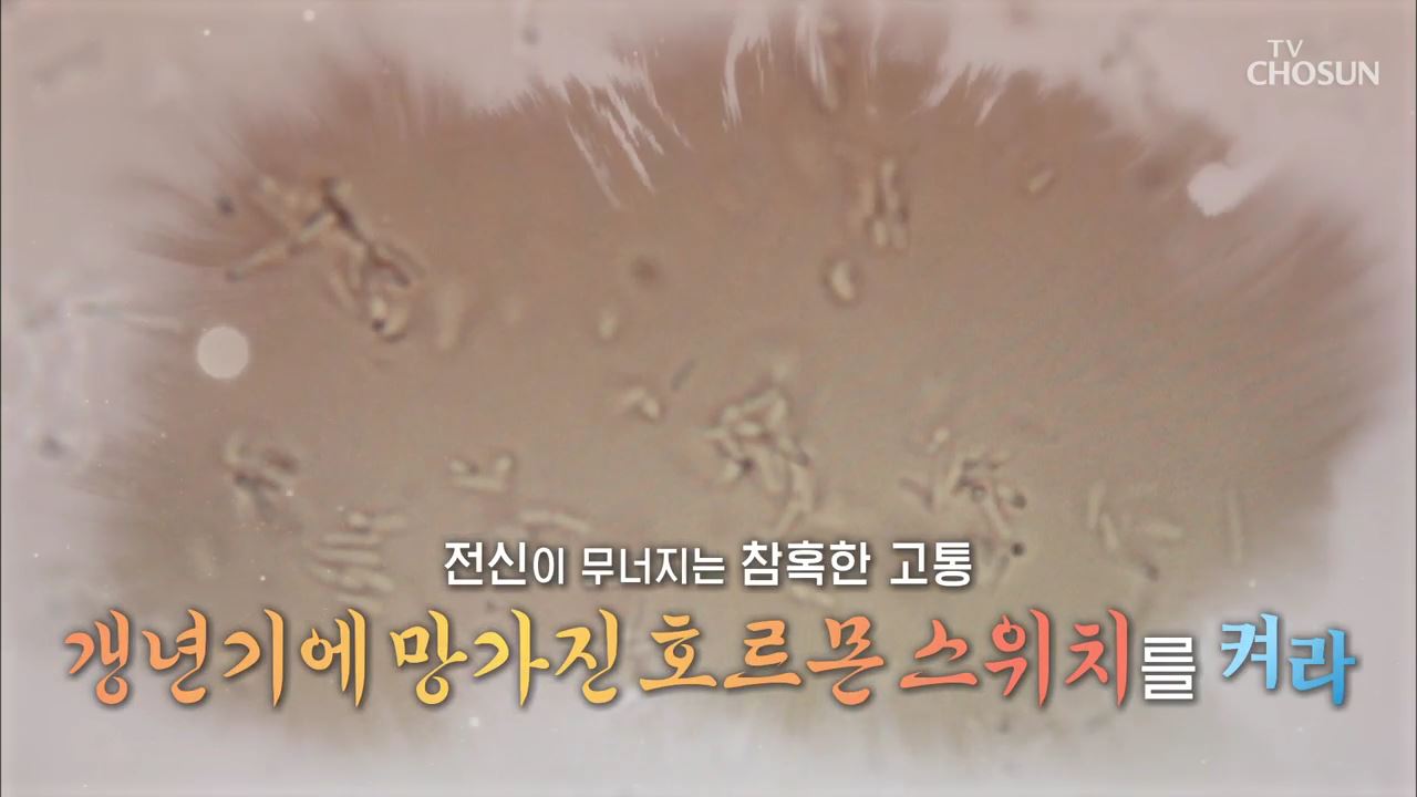 백세시대 프로젝트 위대한 유산 114회