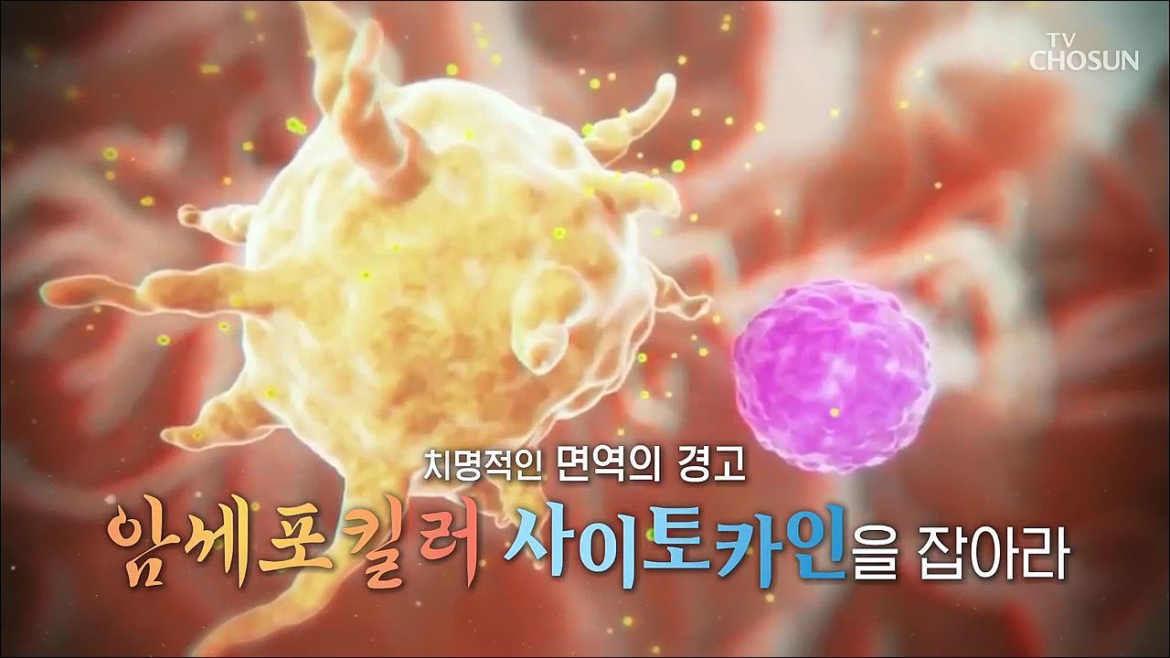 백세시대 프로젝트 위대한 유산 115회