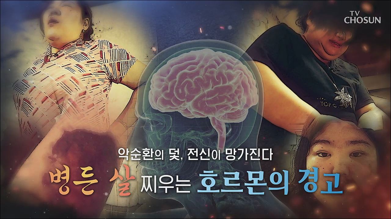 백세시대 프로젝트 위대한 유산 116회
