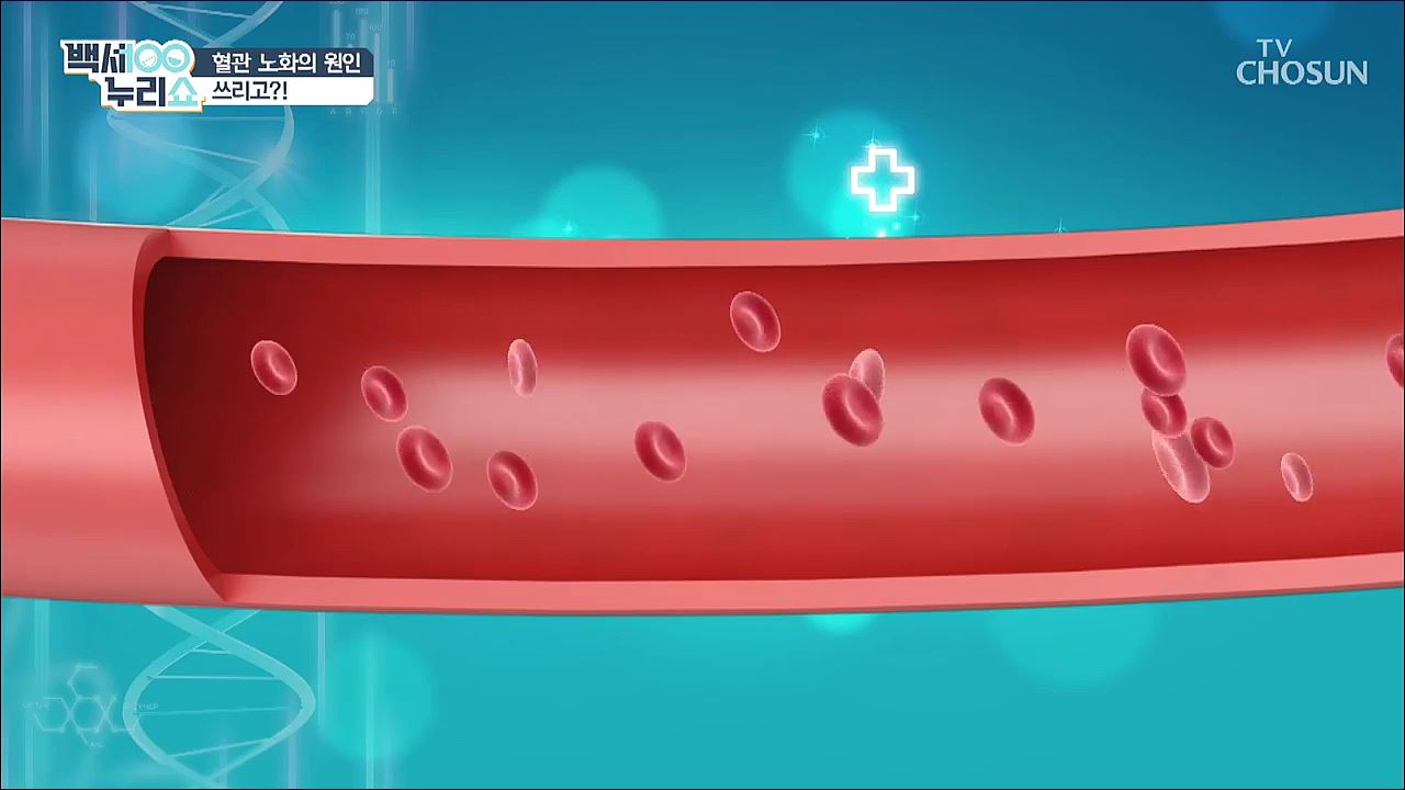 백세누리쇼 59회