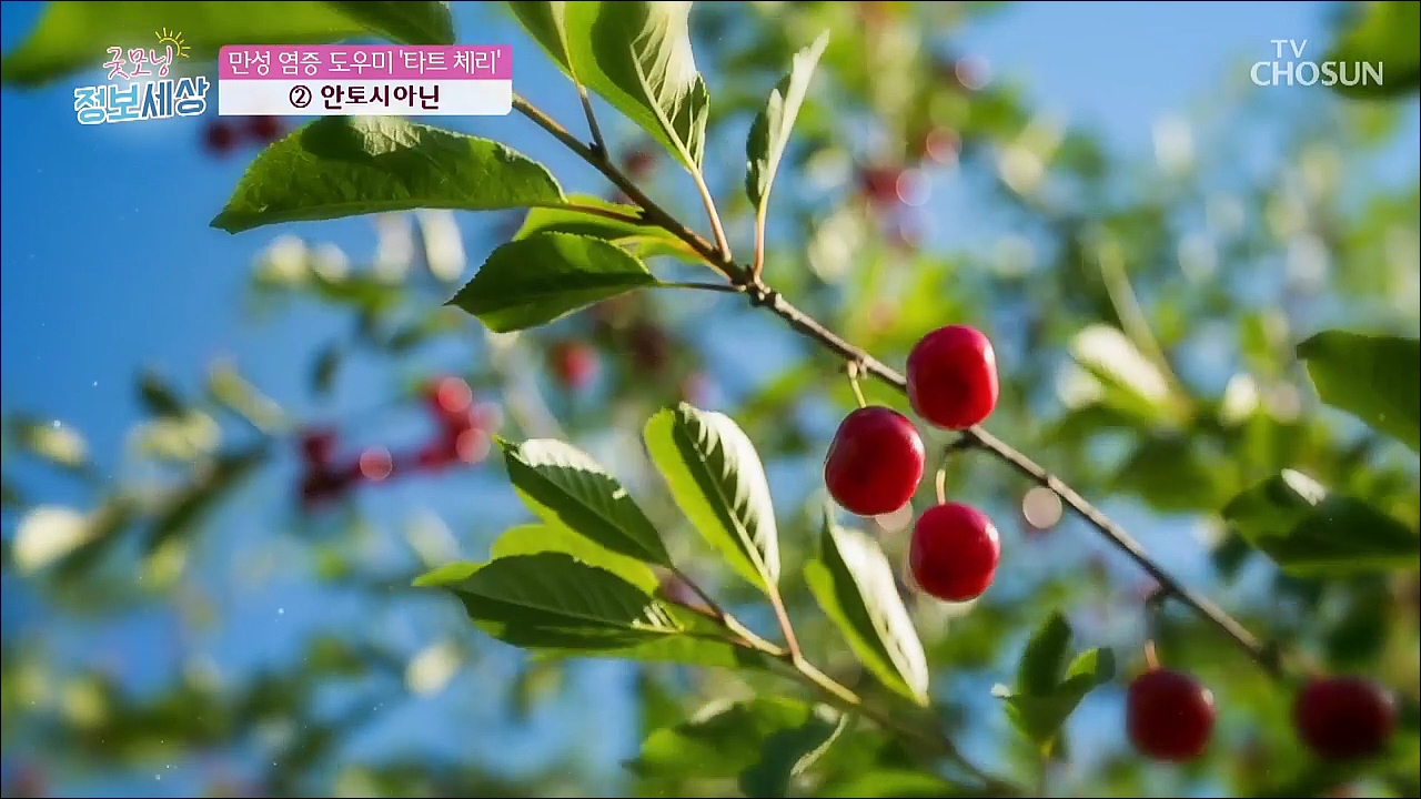 굿모닝 정보세상 376회