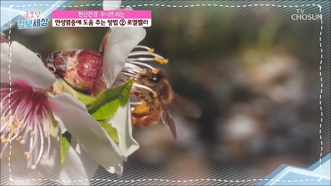 굿모닝 정보세상 392회