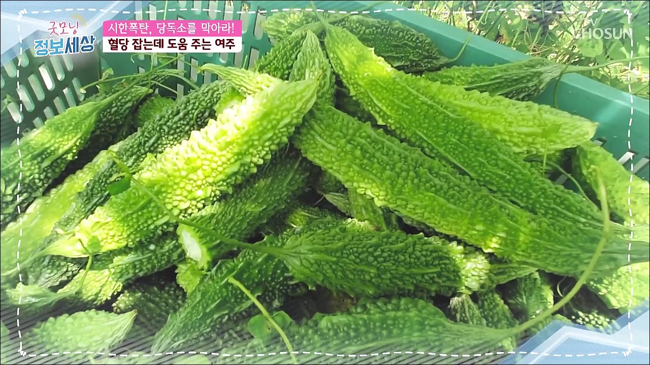 굿모닝 정보세상 393회