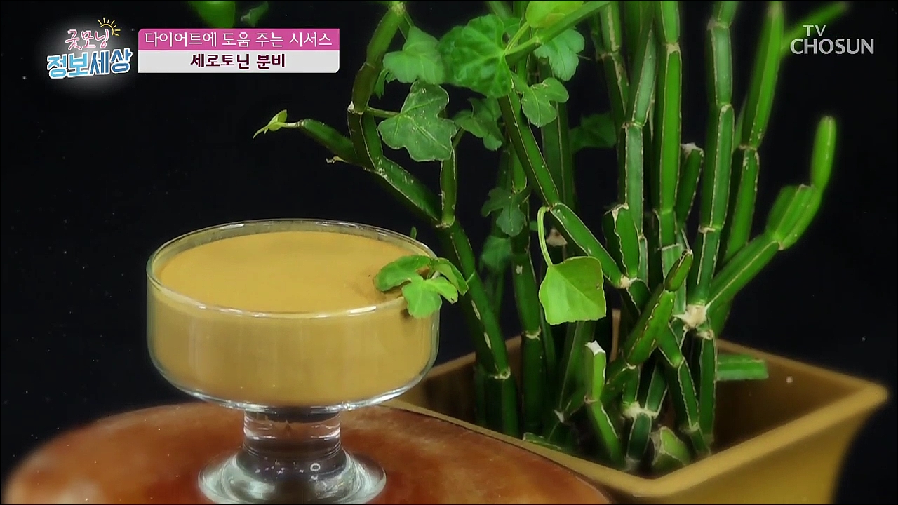 굿모닝 정보세상 394회
