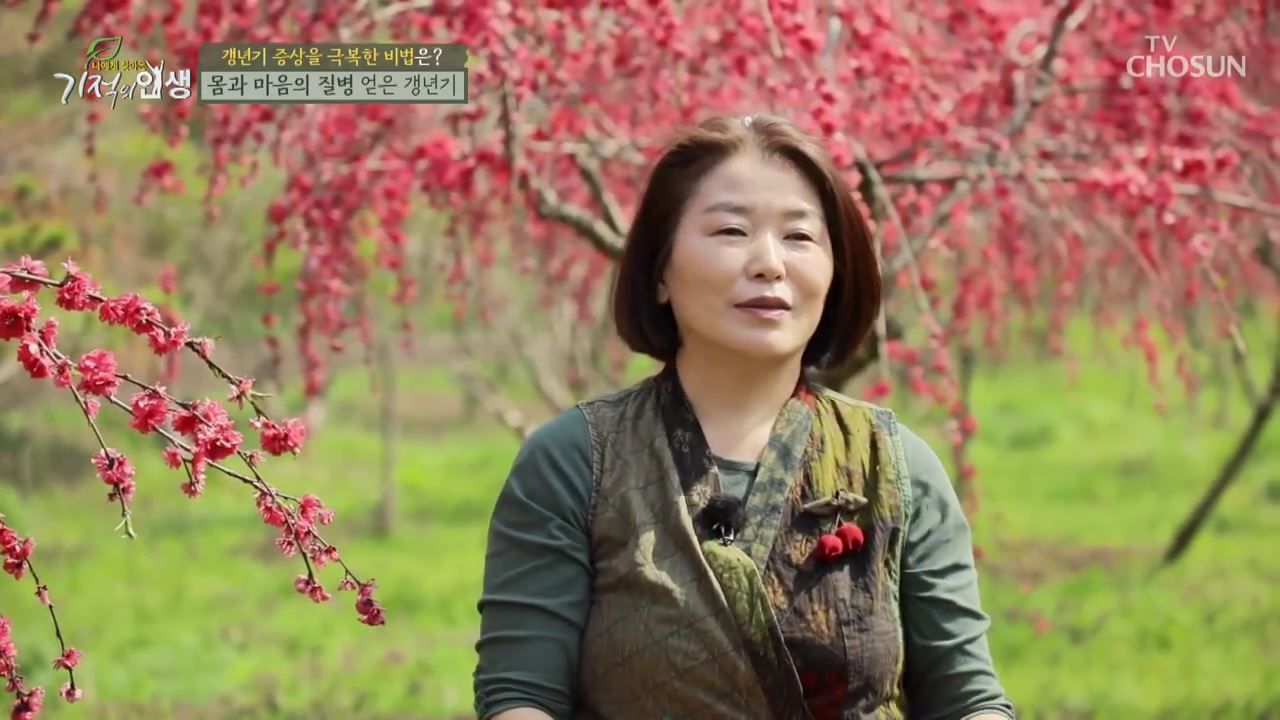 기적의 인생 47회