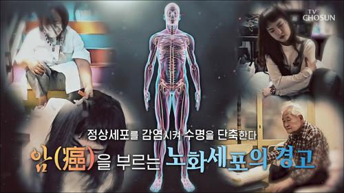 백세시대 프로젝트 위대한 유산 131회