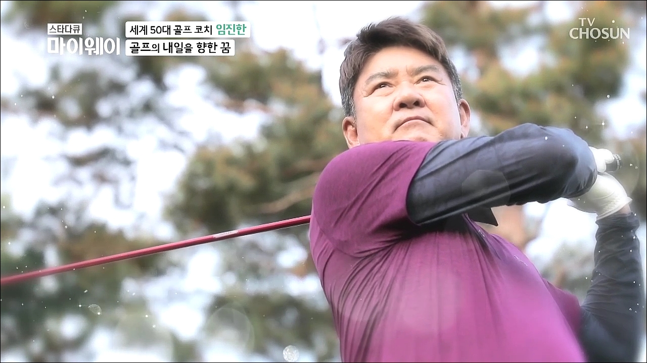 스타다큐 마이웨이 250회