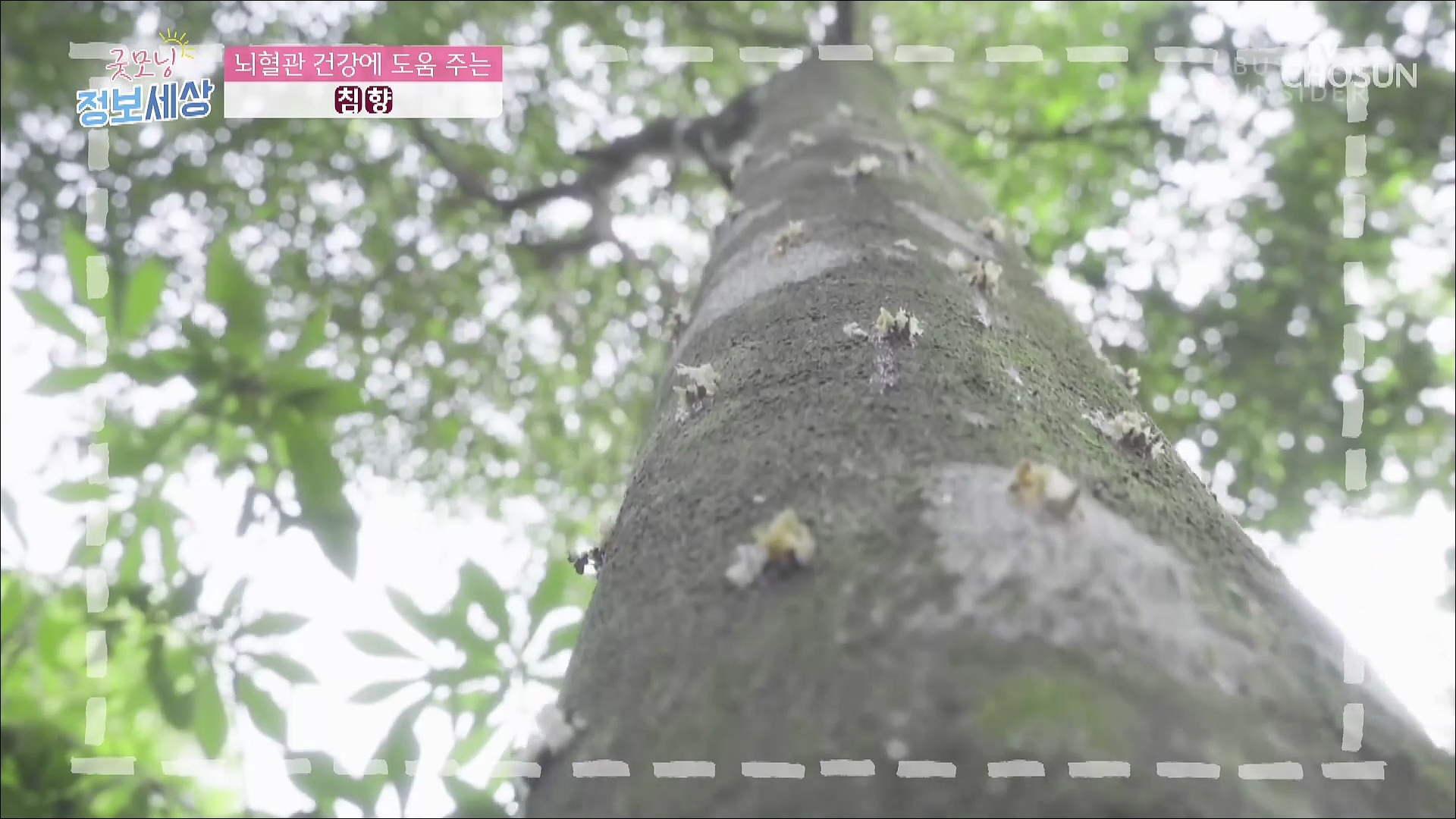 굿모닝 정보세상 470회
