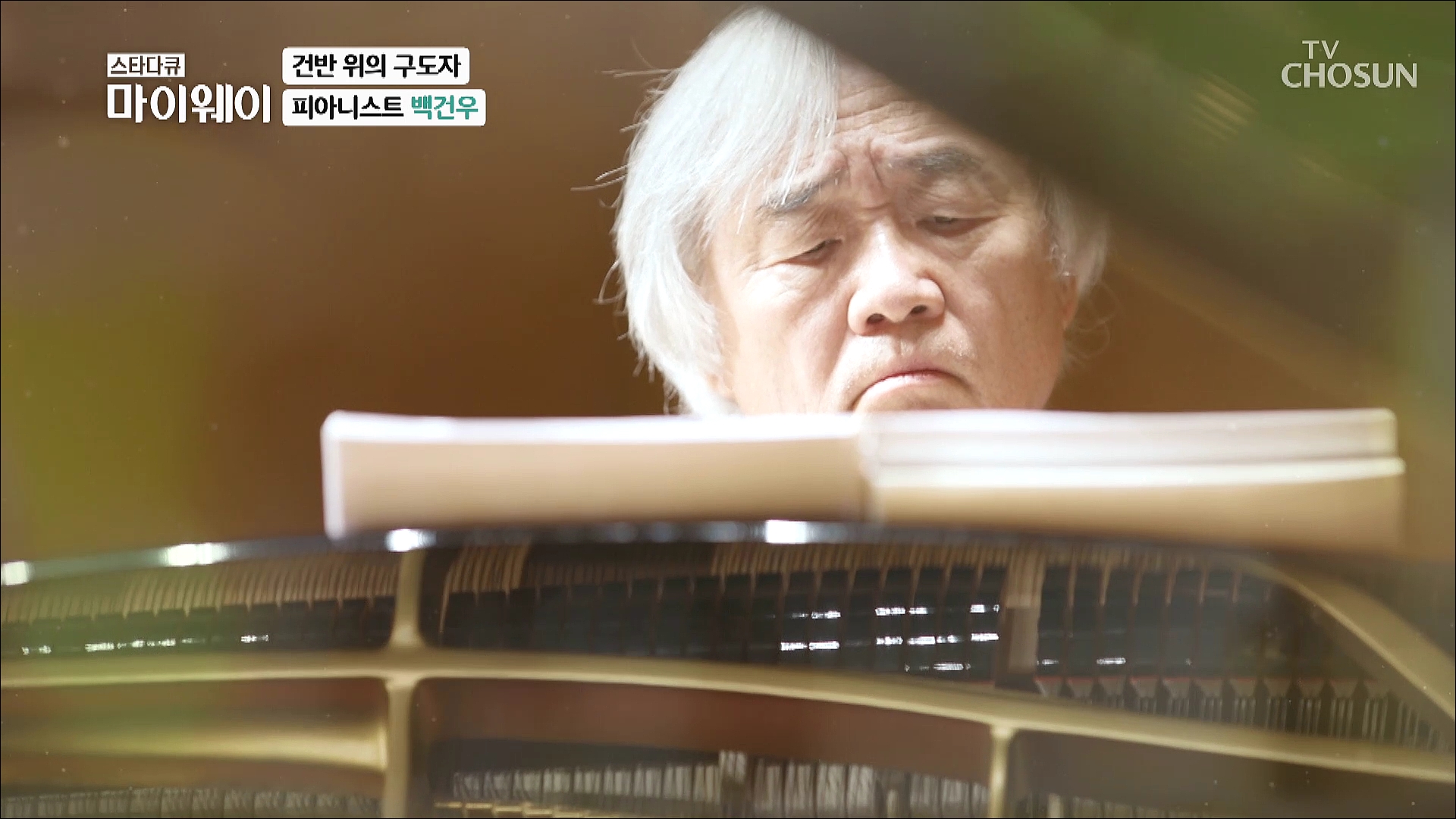 스타다큐 마이웨이 262회