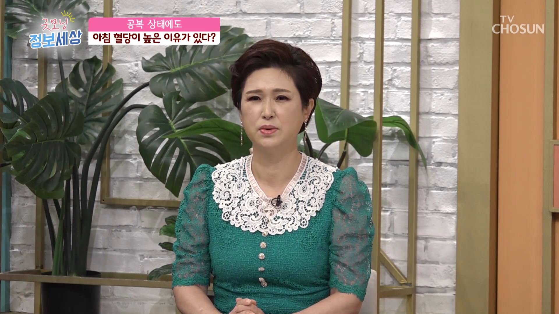 굿모닝 정보세상 489회