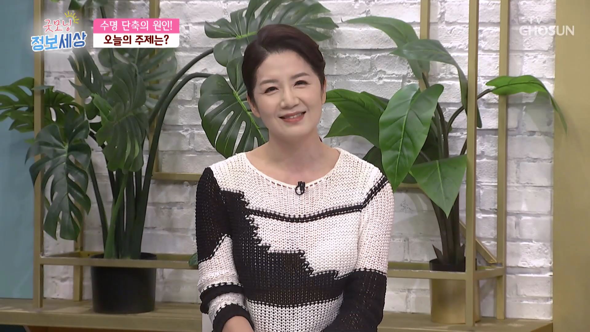 굿모닝 정보세상 496회