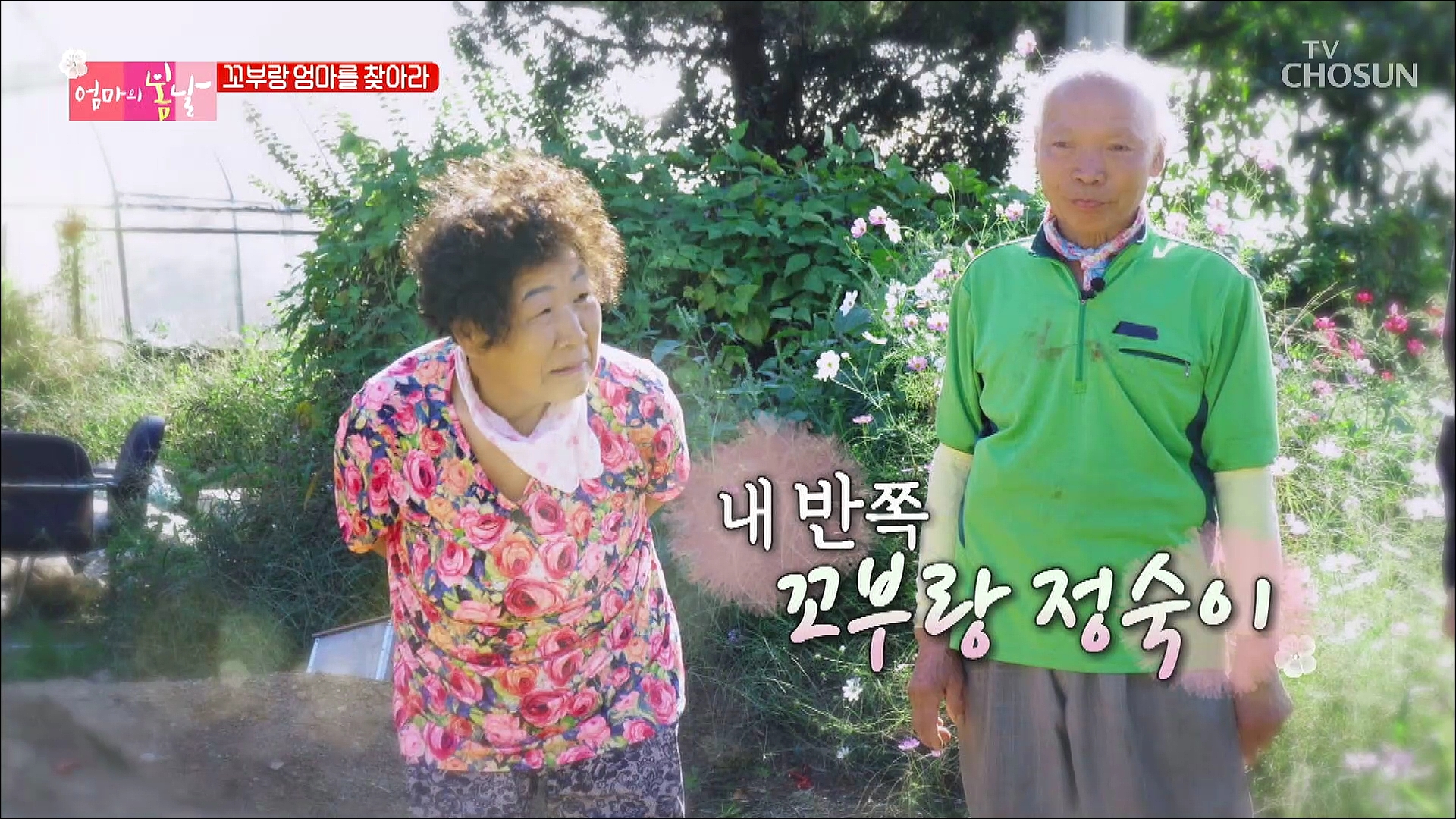 엄마의 봄날 317회