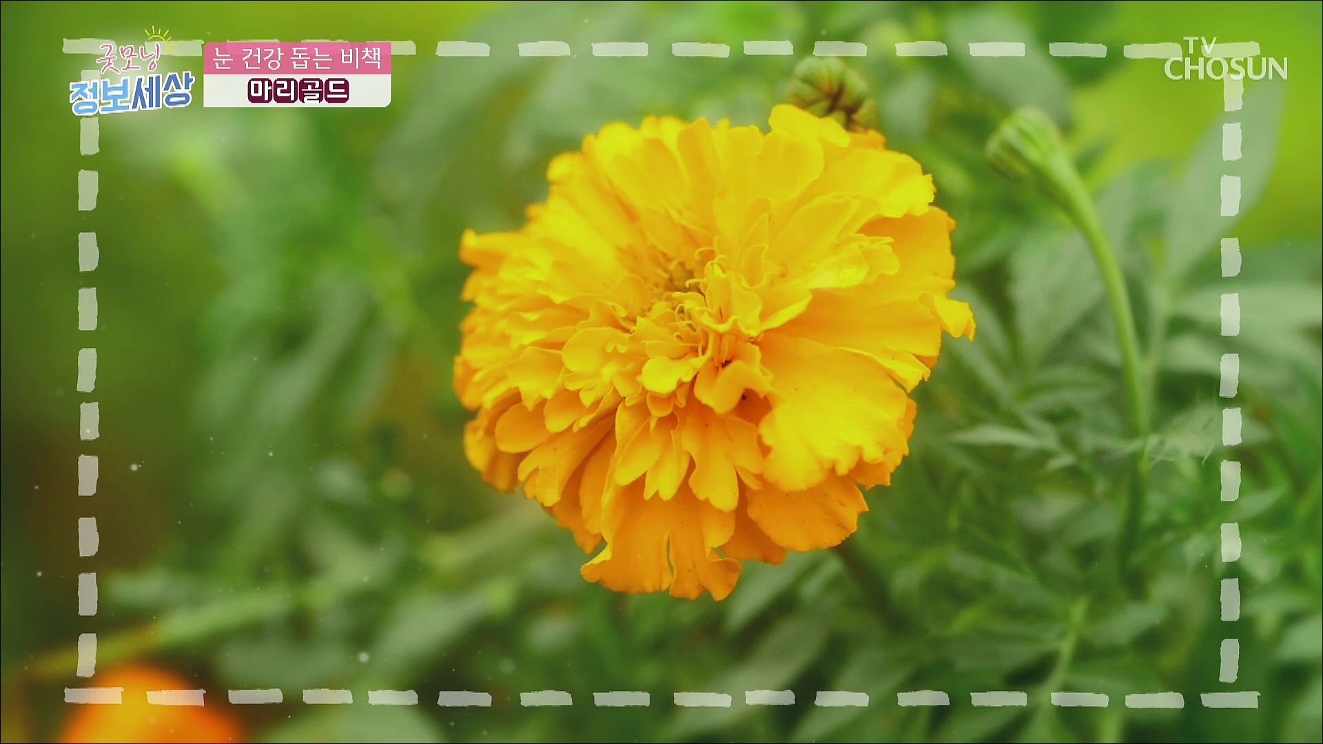 굿모닝 정보세상 502회