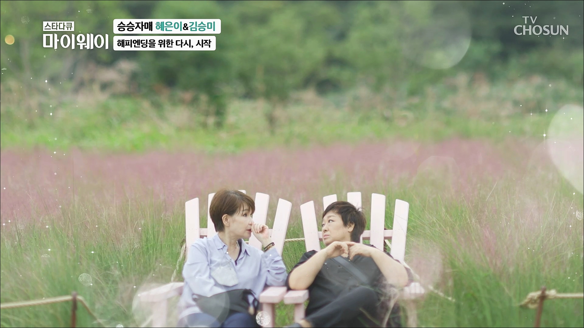스타다큐 마이웨이 268회