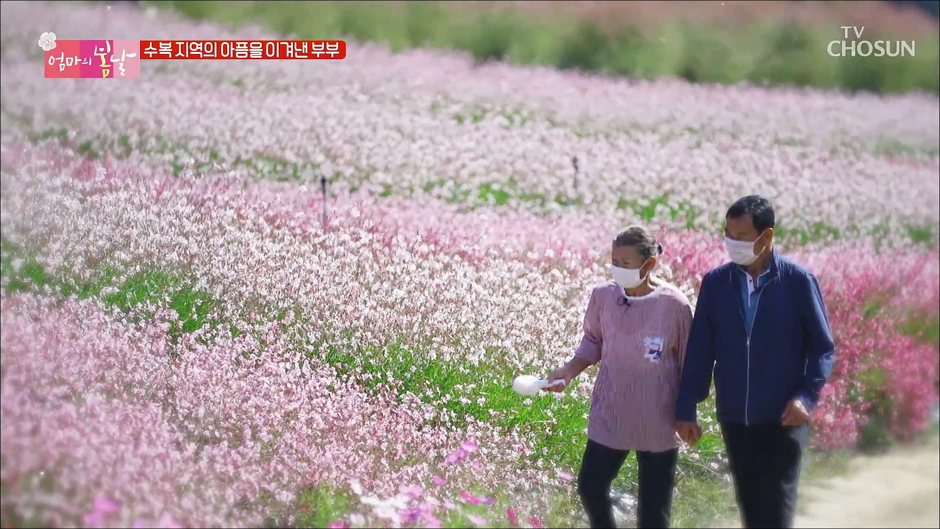 엄마의 봄날 319회