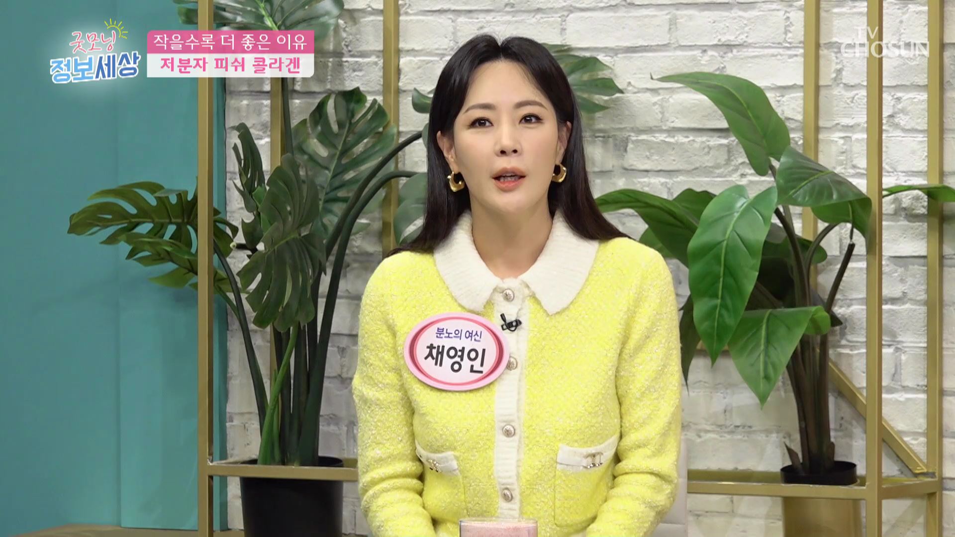 굿모닝 정보세상 528회