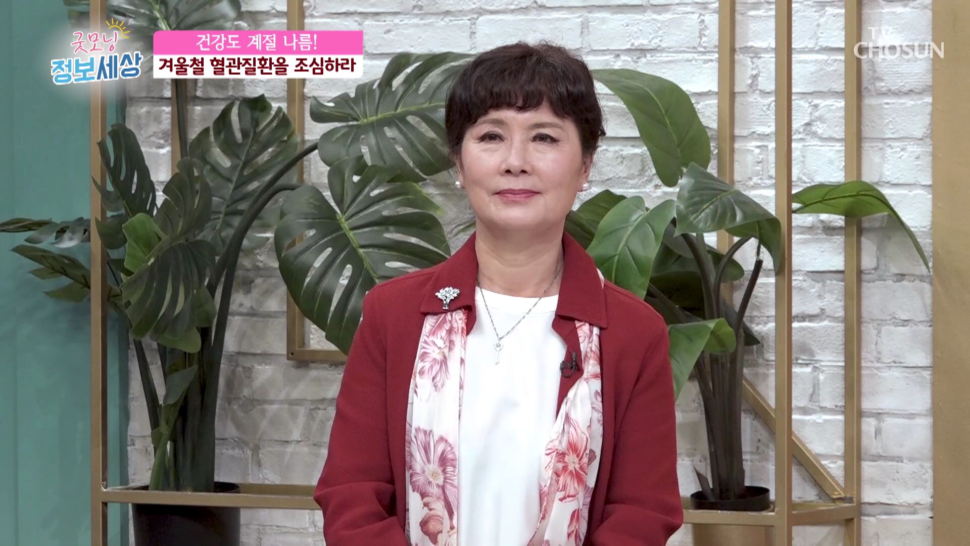 굿모닝 정보세상 535회