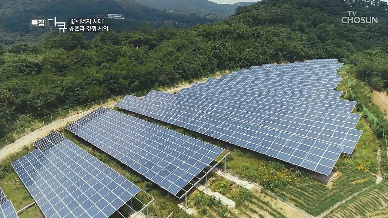 ‘新에너지 시대’ 공존과 경쟁사이
