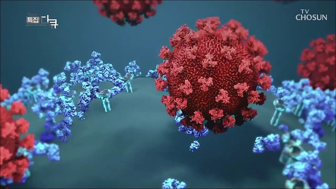 바이러스, 창과 방패의 싸움 