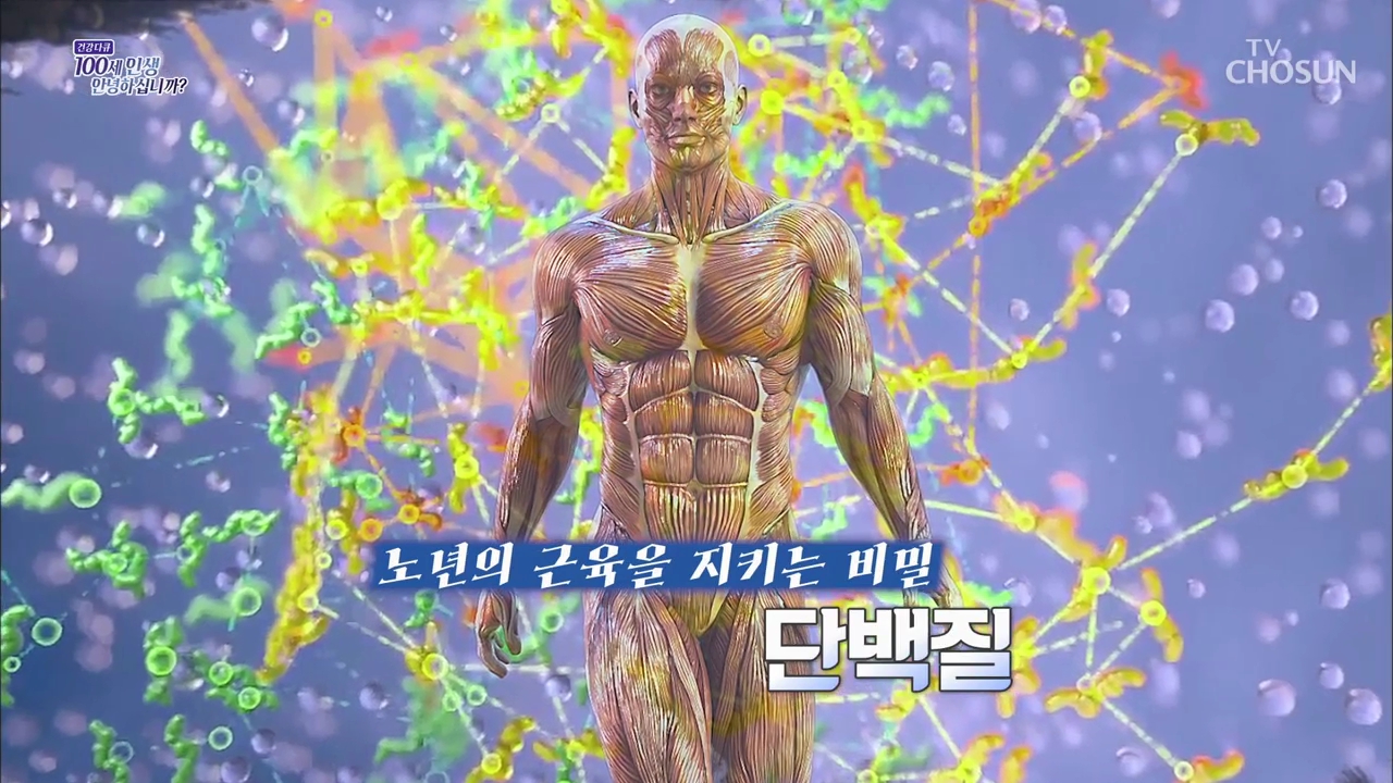건강다큐 182회 - 노년의 근육을 지키는 비밀 단백질
