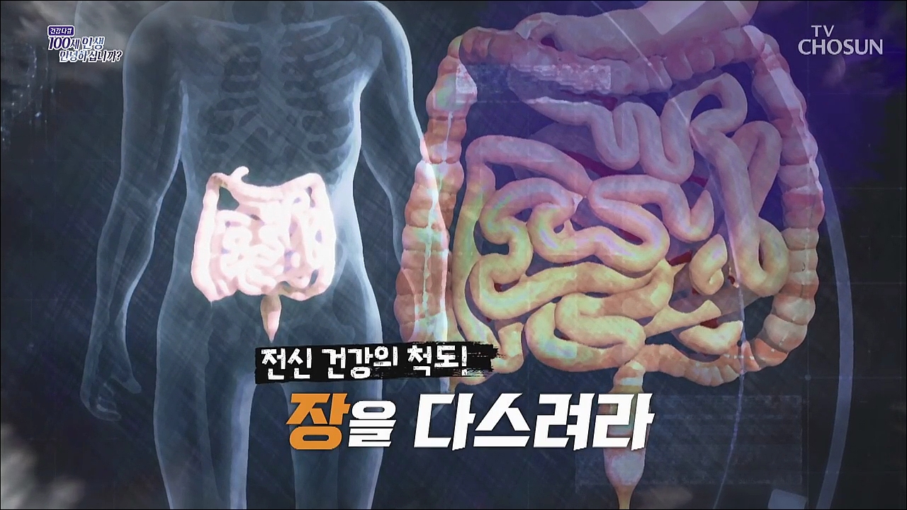 건강다큐 185회 - 전신 건강의 척도! 장을 다스려라