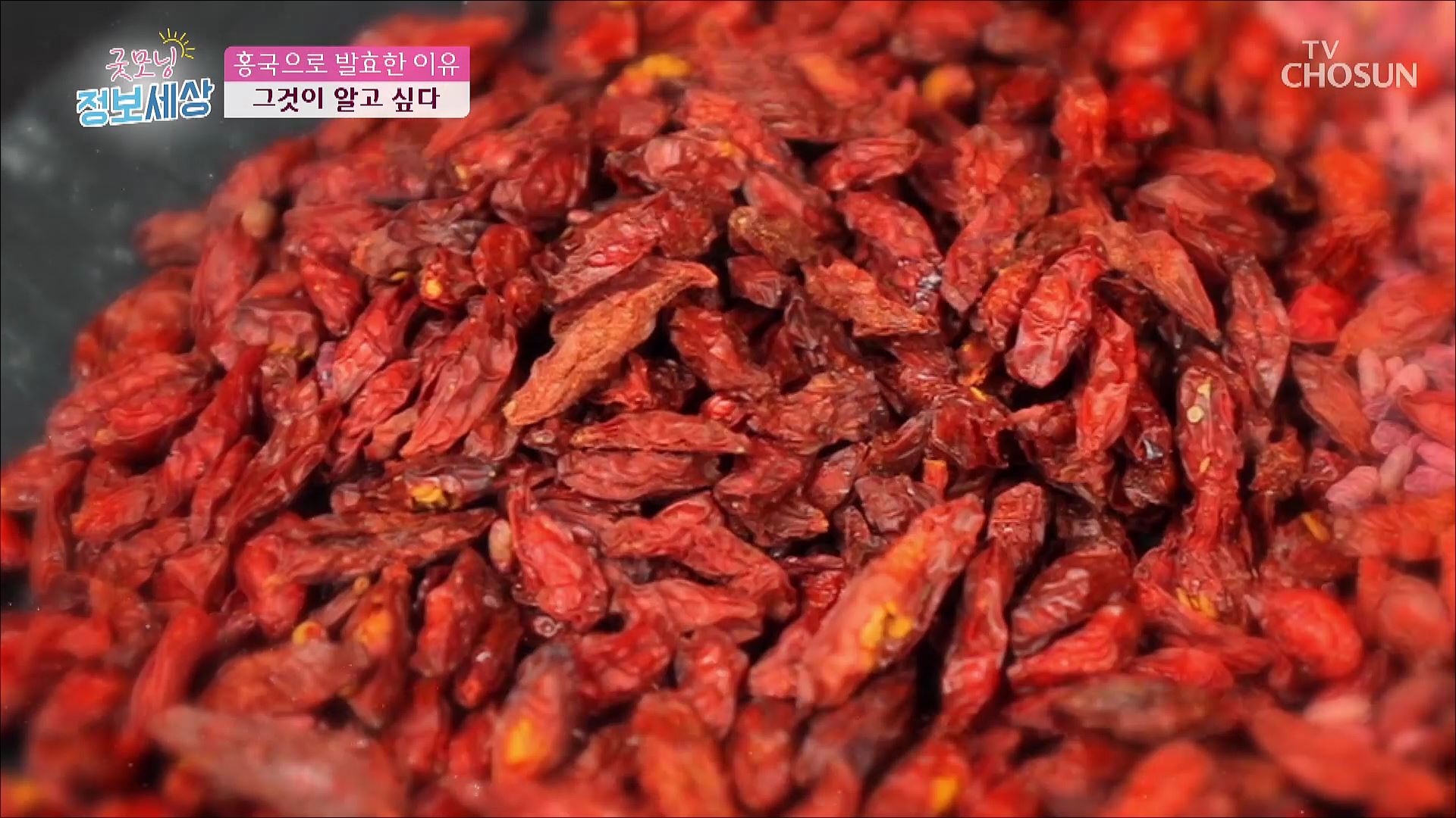 굿모닝 정보세상 660회