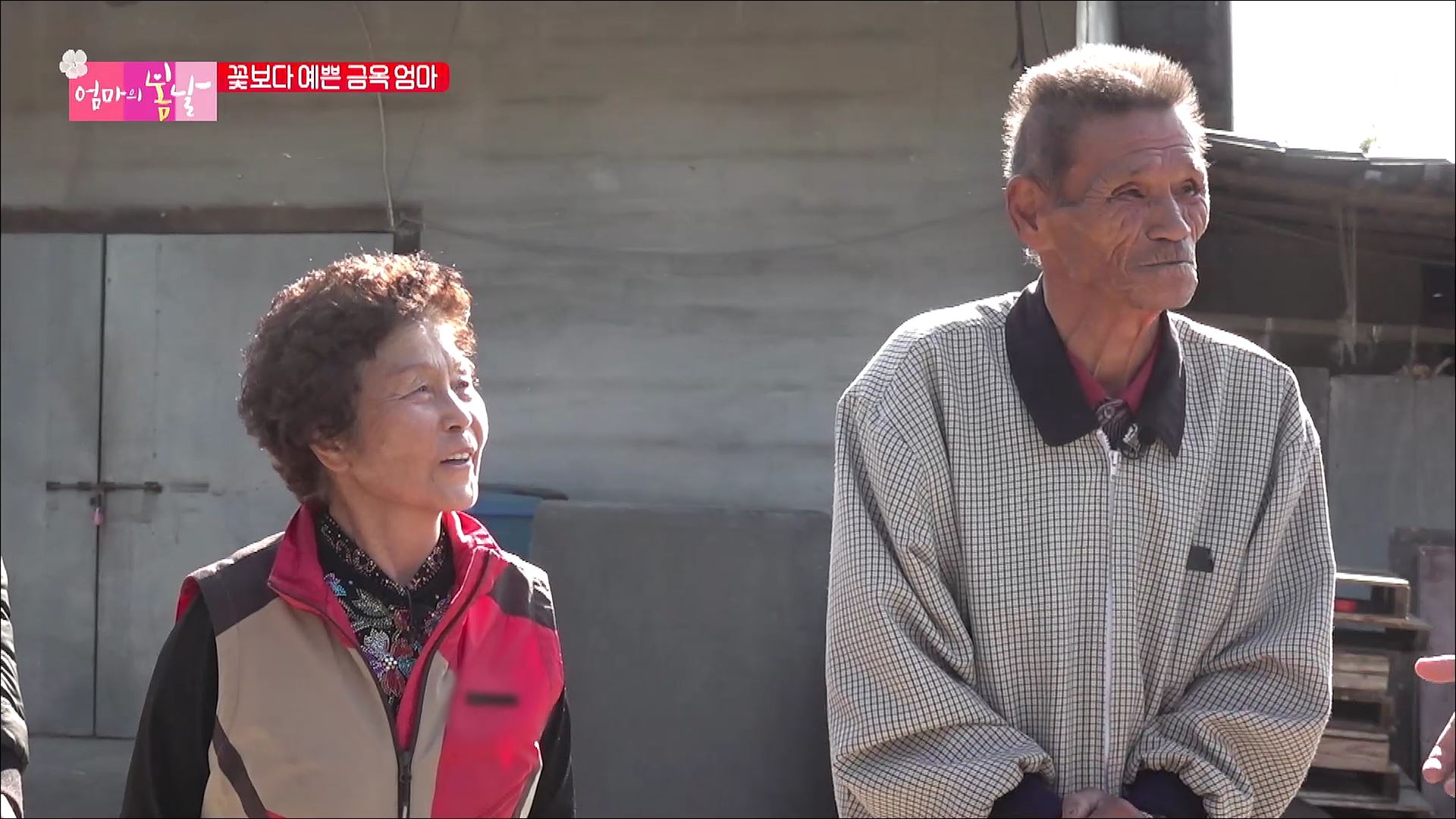 엄마의 봄날 374회