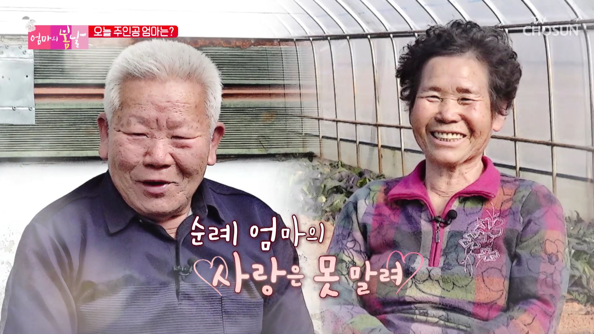 엄마의 봄날 389회