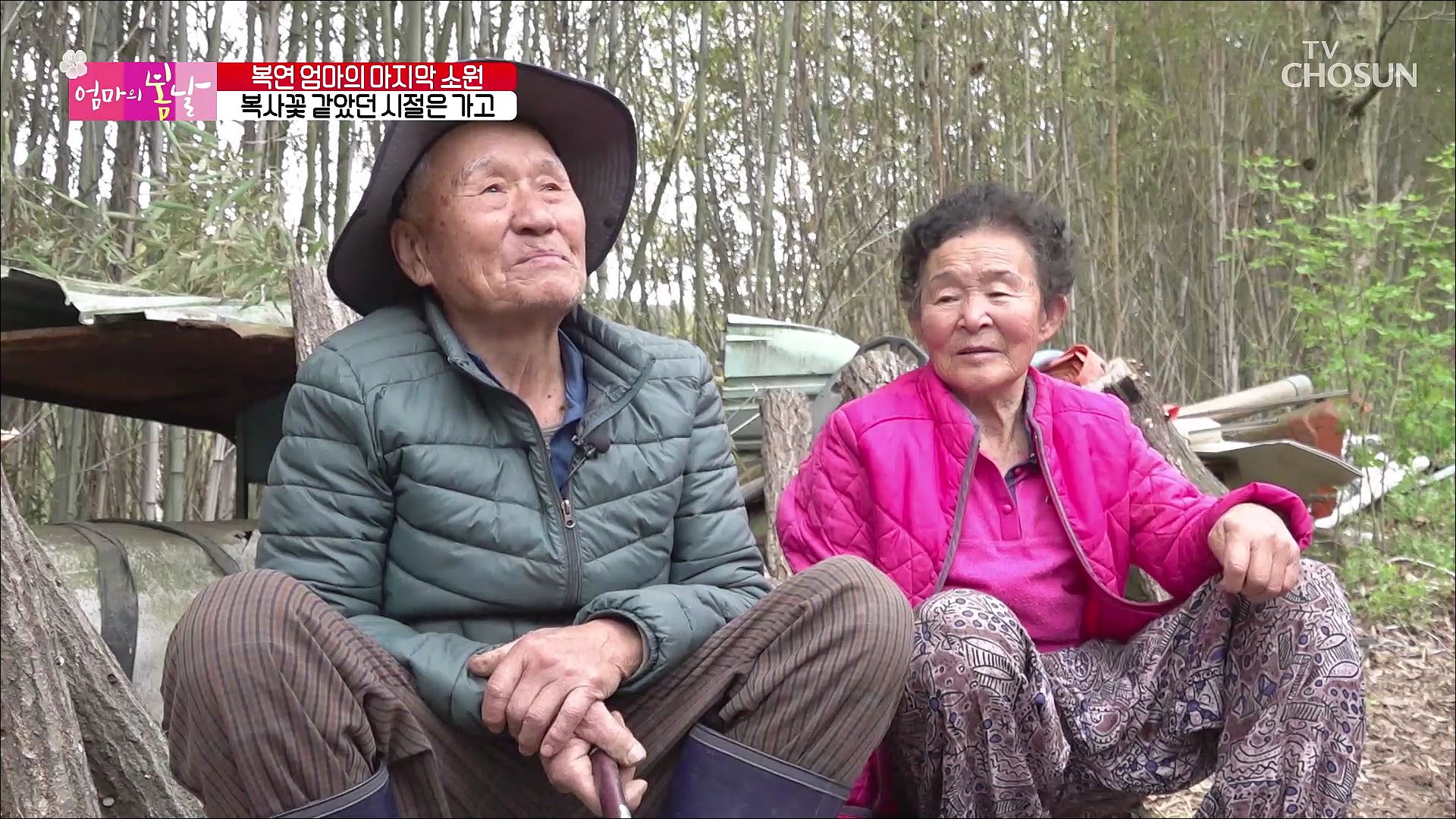 엄마의 봄날 399회