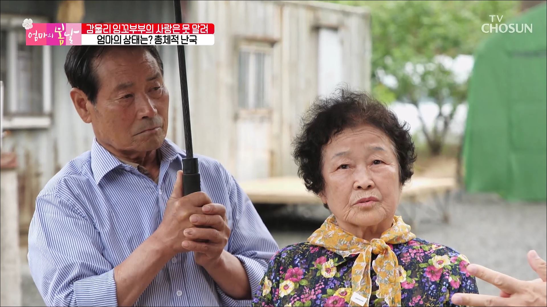 엄마의 봄날 404회