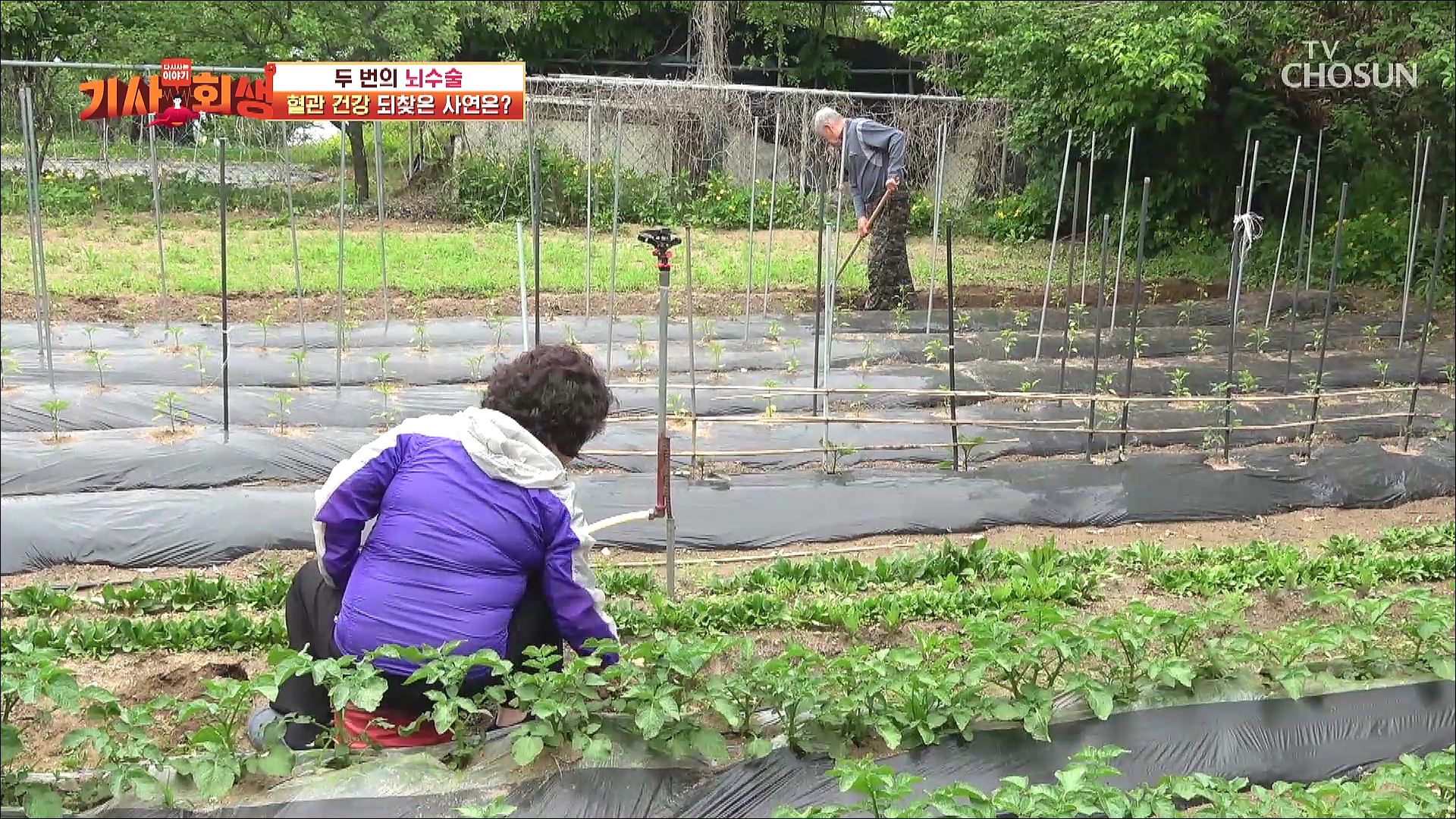다시 사는 이야기 기사회생 20회