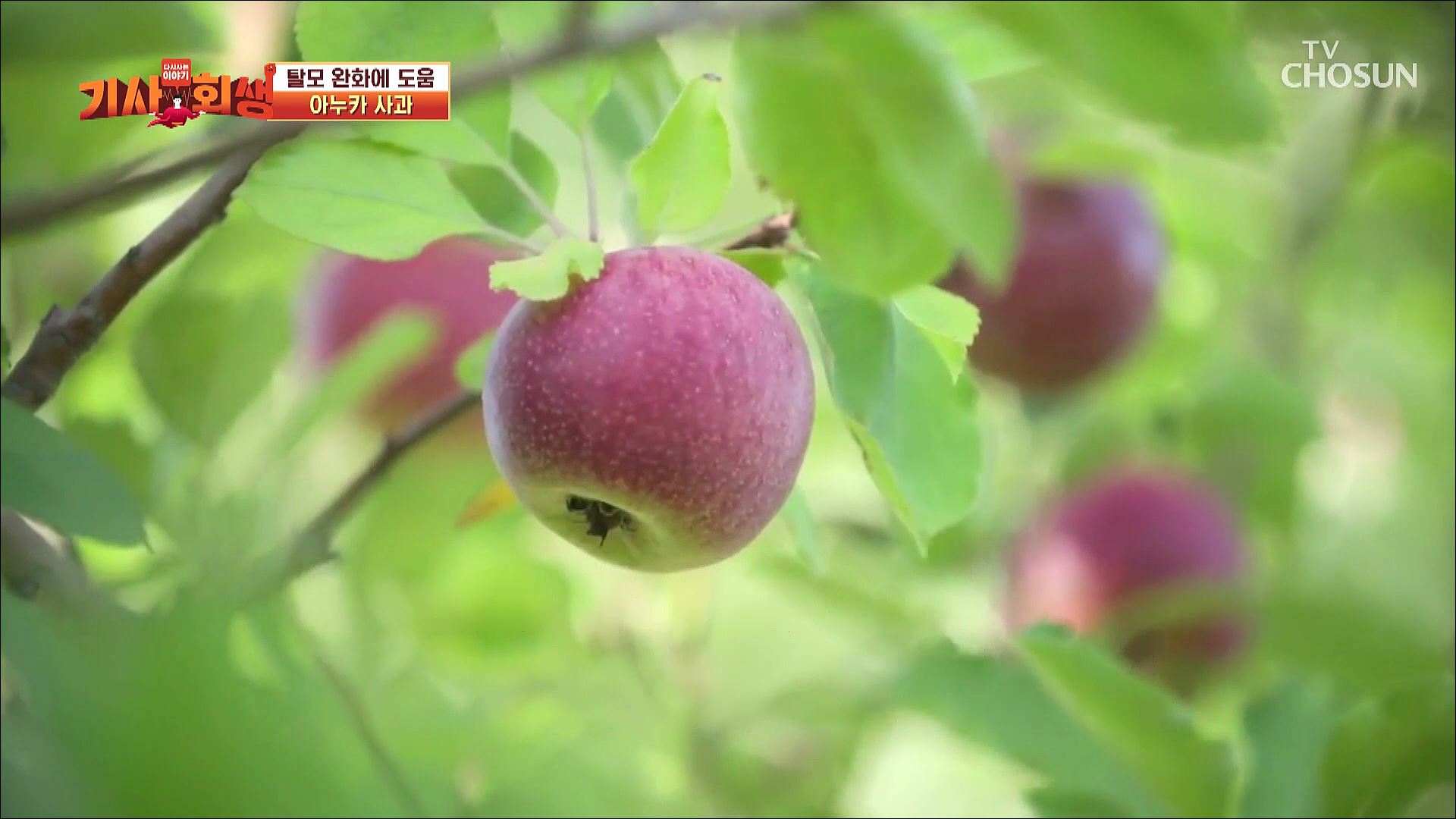 다시 사는 이야기 기사회생 24회