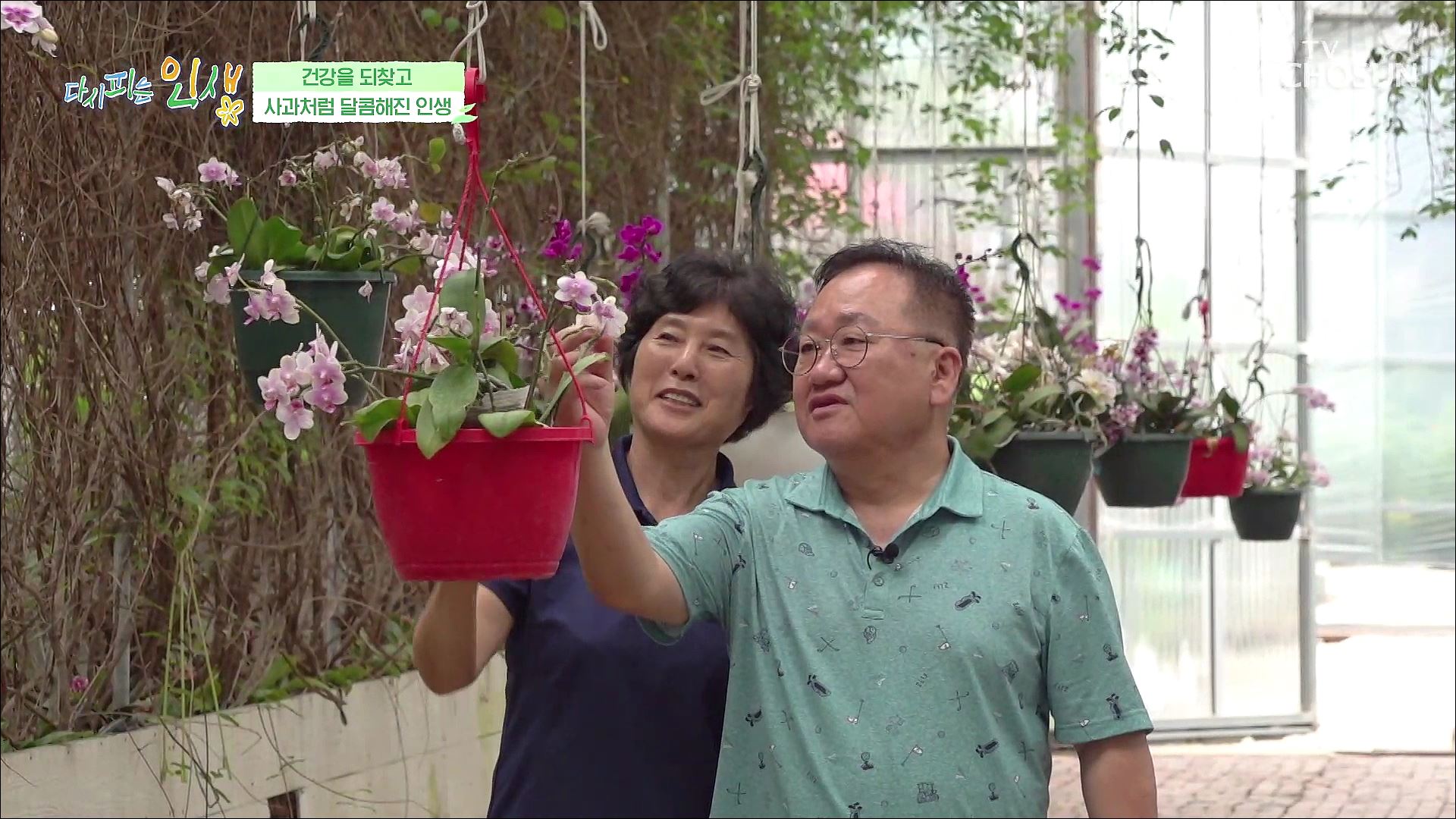 다시 피는 인생 8회