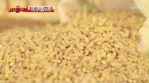 다시 사는 이야기 기사회생 26회