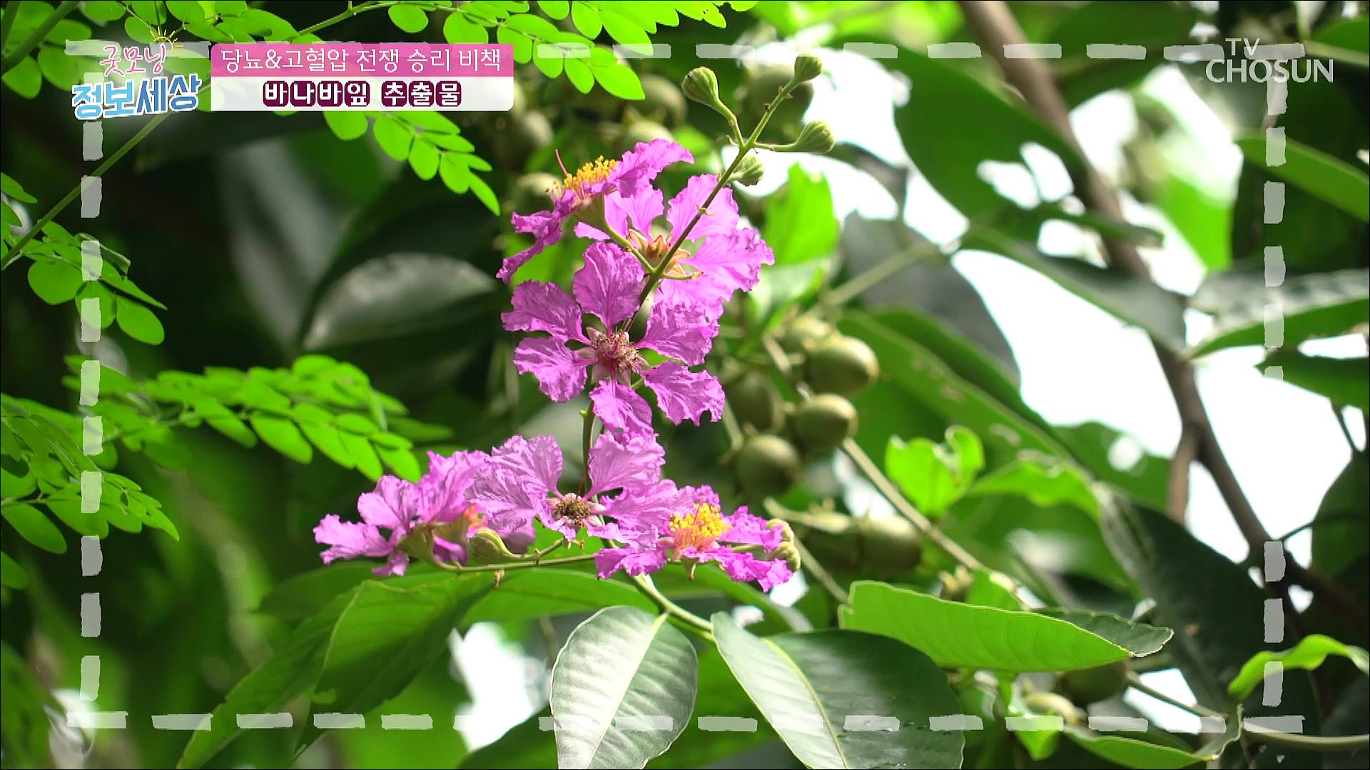 굿모닝 정보세상 887회