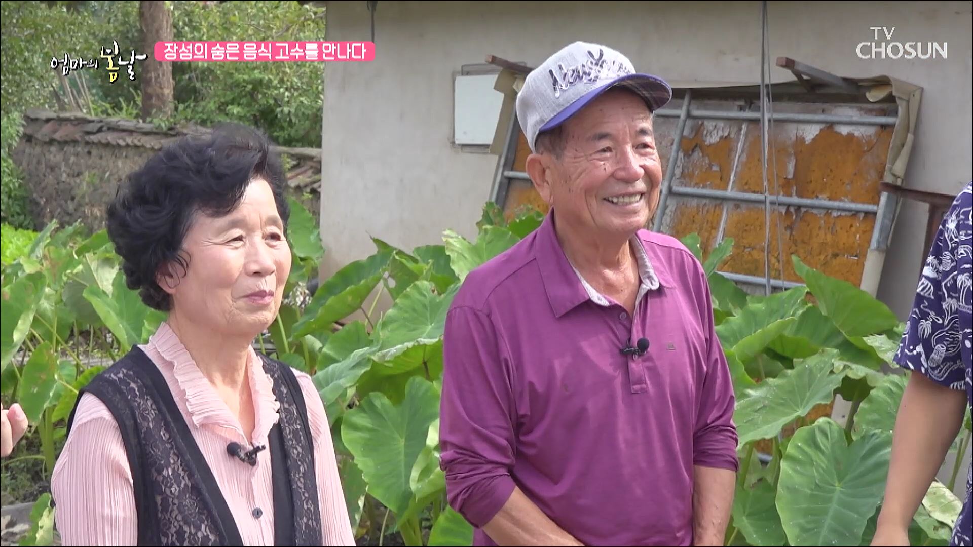 엄마의 봄날 423회