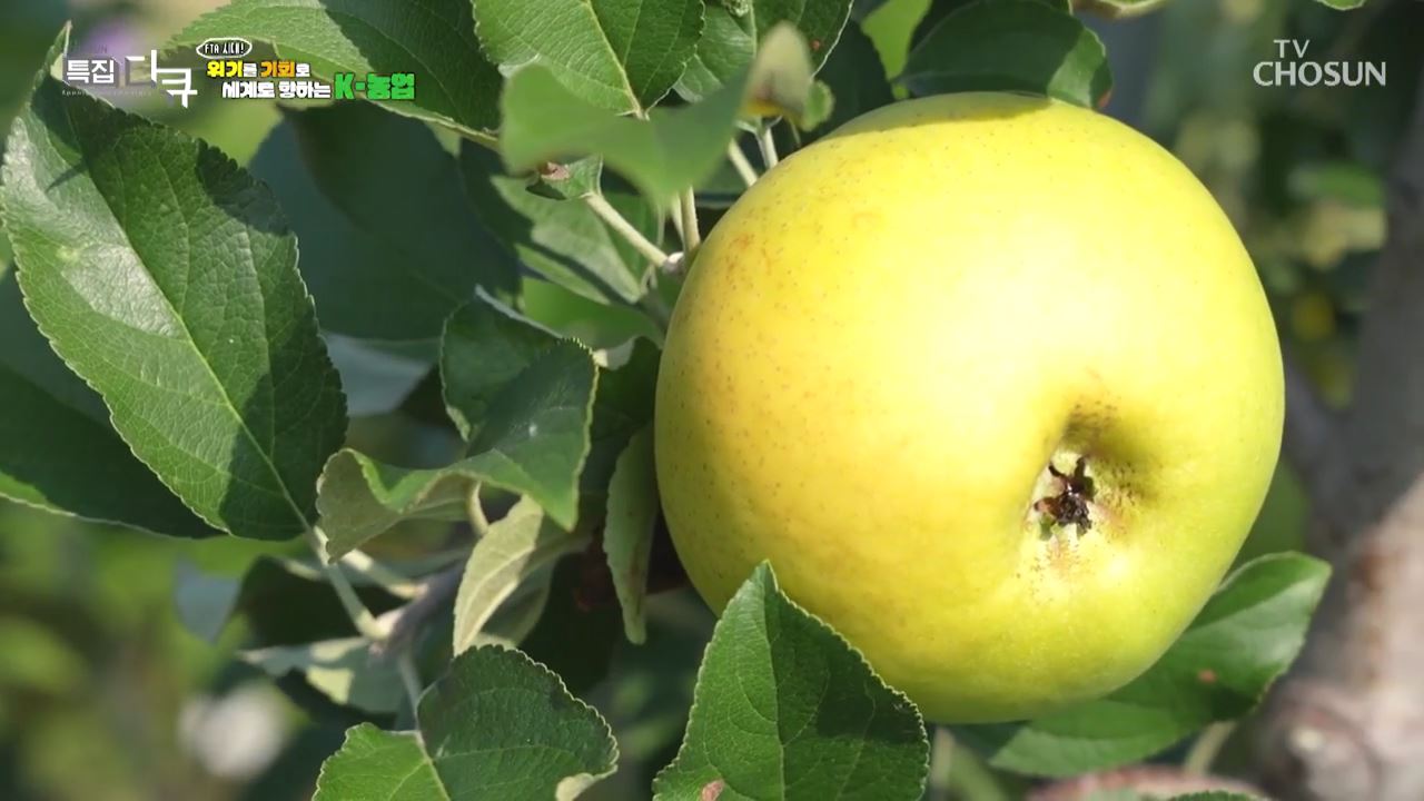 FTA시대! 위기를 기회로 세계로 향하는 K-농업
