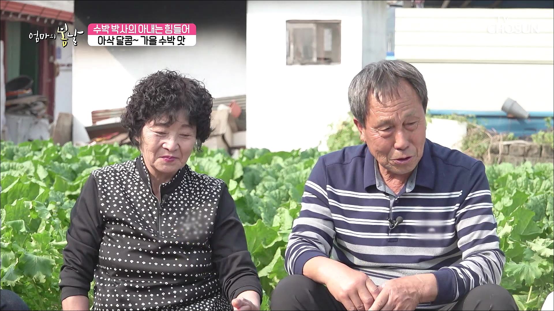 엄마의 봄날 427회
