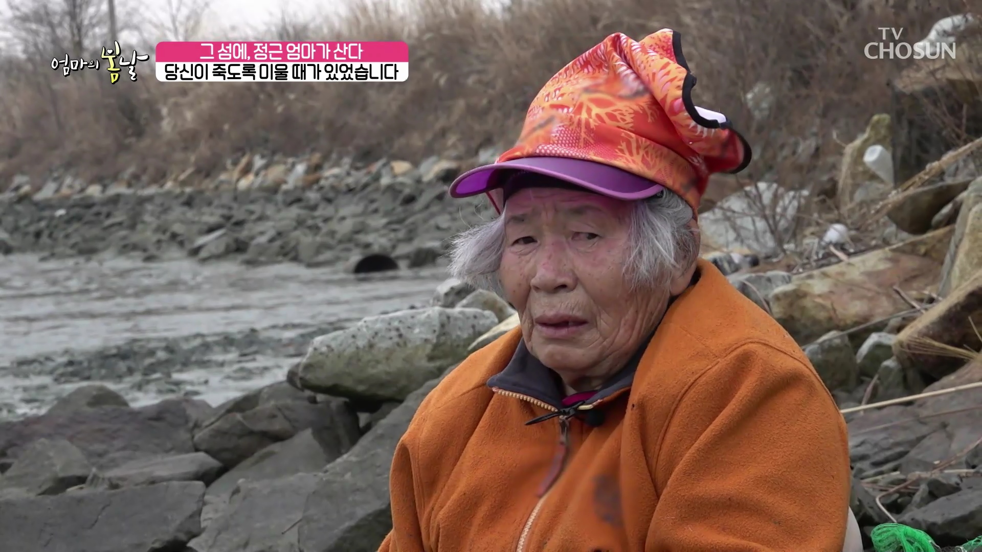 엄마의 봄날 437회