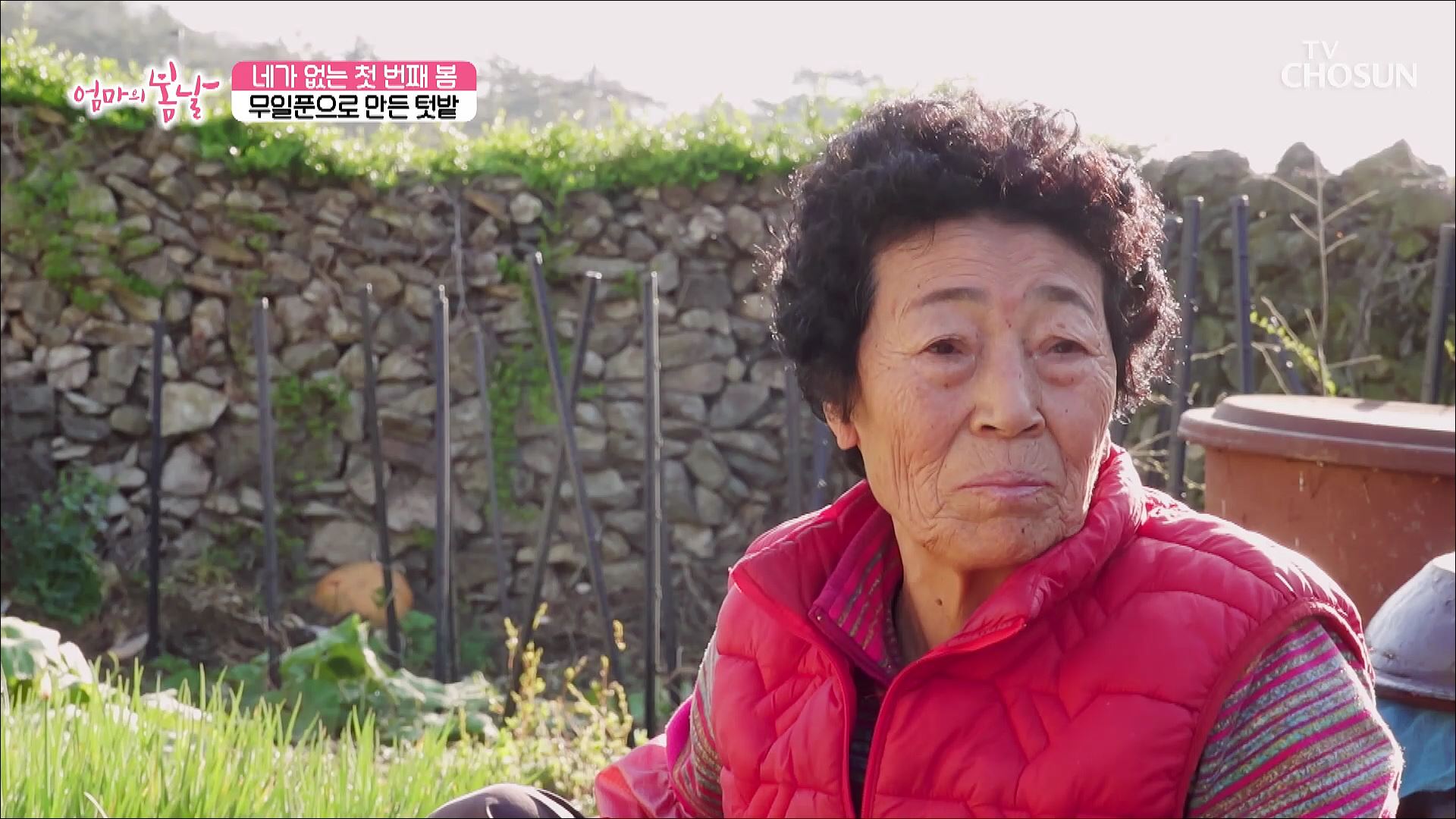 엄마의 봄날 450회