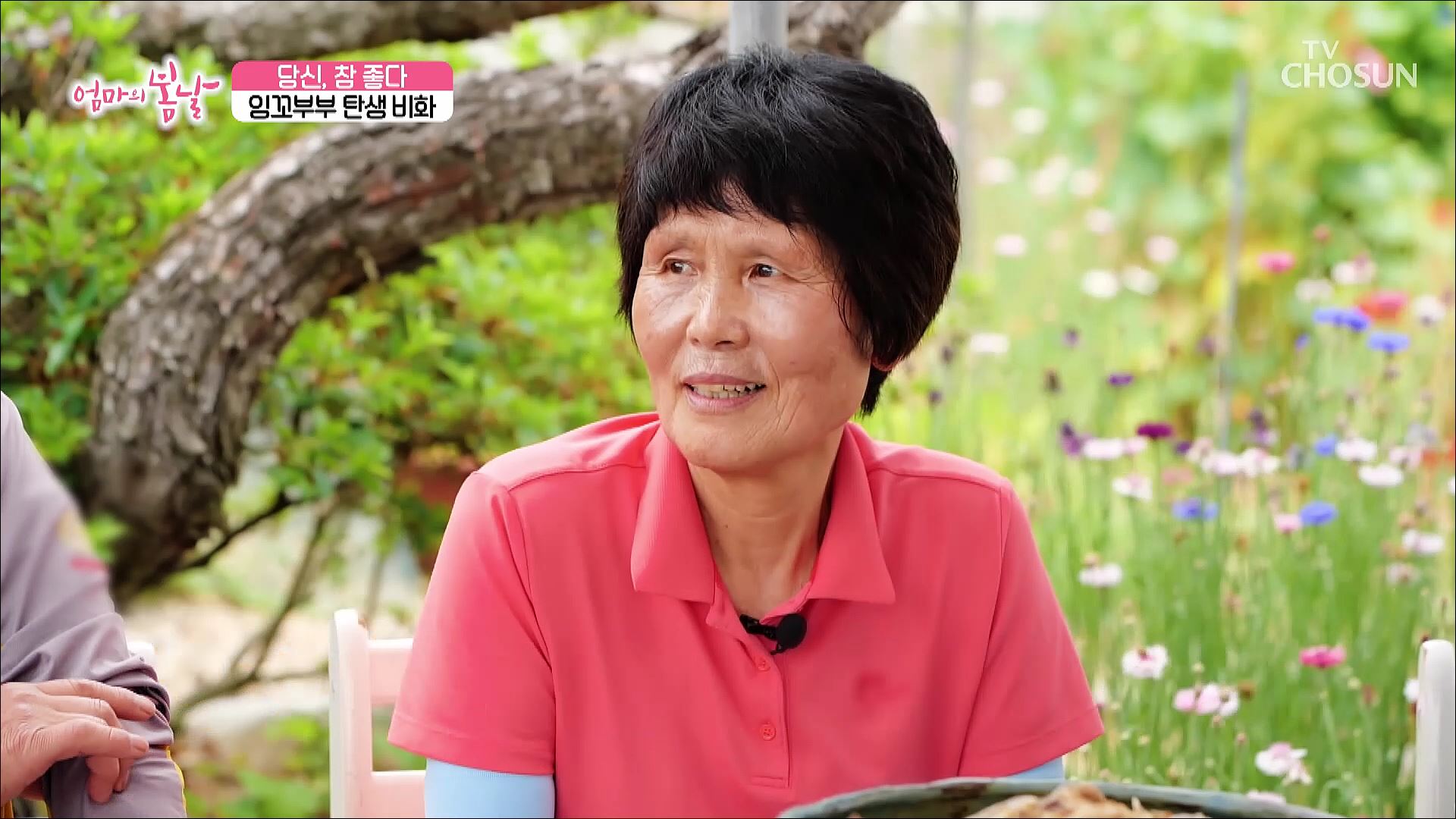 엄마의 봄날 458회