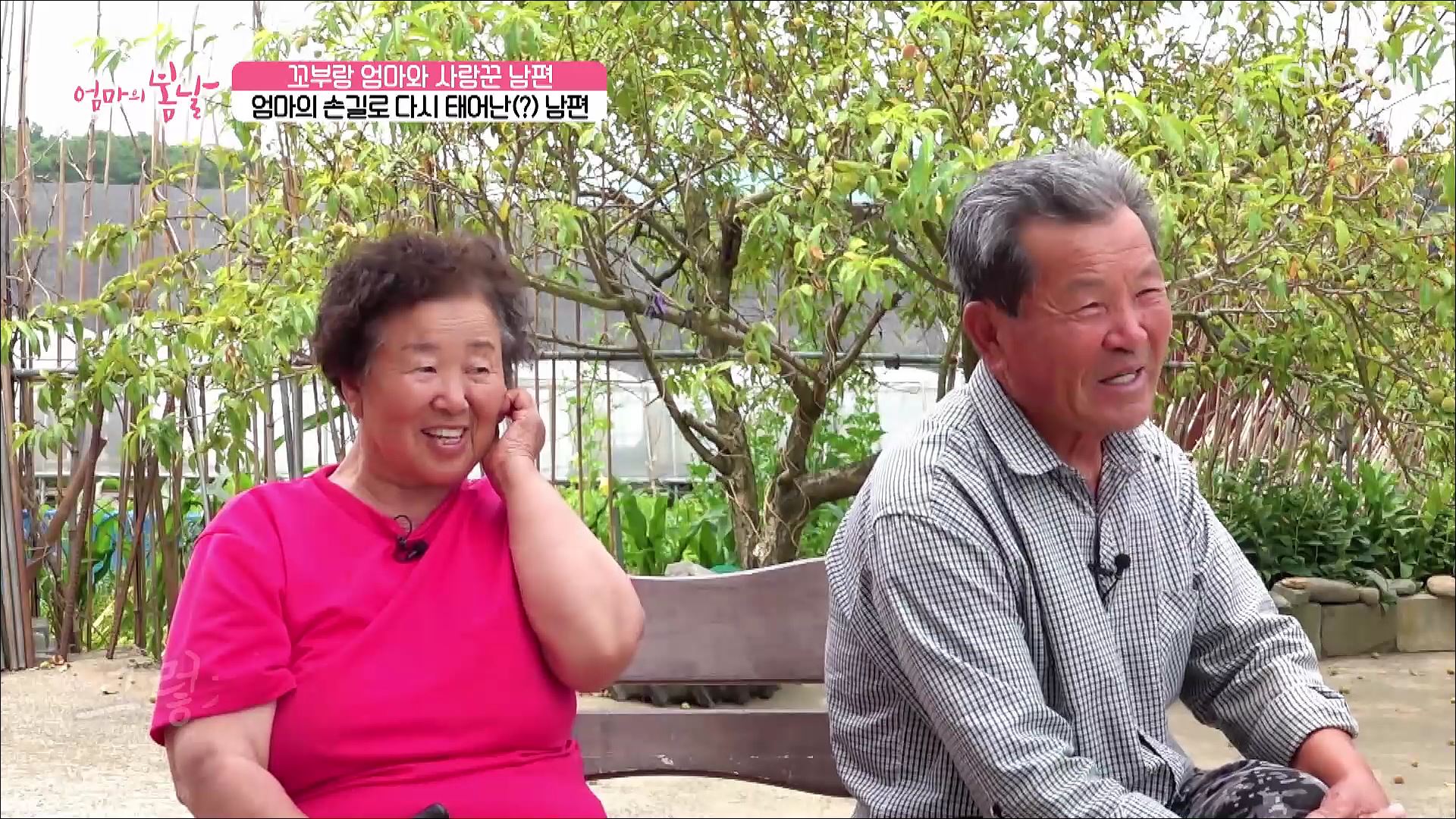엄마의 봄날 459회